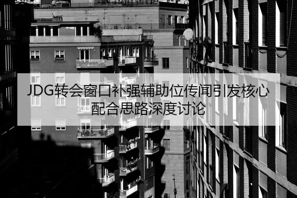 JDG转会窗口补强辅助位传闻引发核心配合思路深度讨论