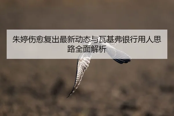 朱婷伤愈复出最新动态与瓦基弗银行用人思路全面解析